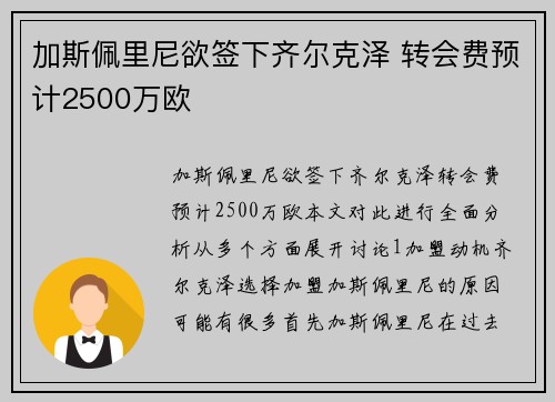 加斯佩里尼欲签下齐尔克泽 转会费预计2500万欧
